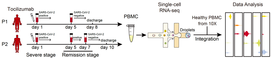 /uploads/image/2020/08/07/45ec92de65229d604ed421235e92e1bd.png /uploads/image/2020/08/07/45ec92de65229d604ed421235e92e1bd.png