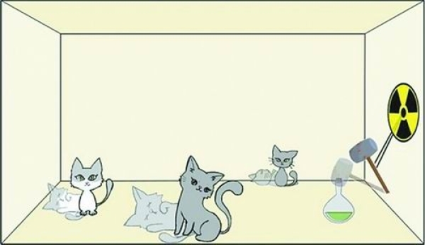 /uploads/image/2022/03/18/d76345051a96132027bd74e517115171.jpg 1.jpg