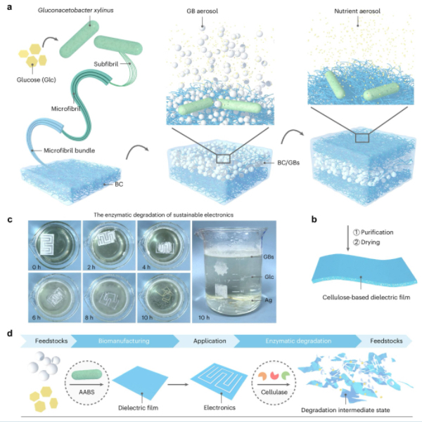 /uploads/image/2025/07/30/16baeb6f80edf9b59e12d25eb195a1a0.jpg WechatIMG1523.jpg