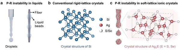 /uploads/image/2024/11/25/c211f35d4f46e69cd6a9de5206e2a178.jpg 1.jpg