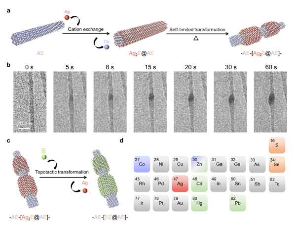 /uploads/image/2024/11/25/fc25e8694dd2e2269c93b1db065cbf51.jpg 2.jpg