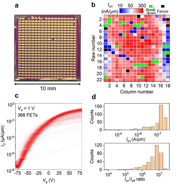 /uploads/image/2024/06/01/dbc8a2891e65fa84451dce2ba249019c.jpg 2.jpg