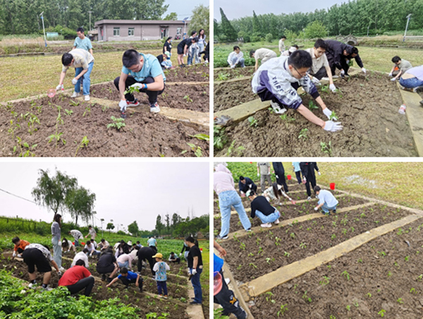 /uploads/image/2024/05/21/3c157edc080467ce9c6680fb8fff52ec.jpg 3.jpg