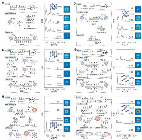 /uploads/image/2024/10/28/49b843a32ad7cf2978b4dc31848fdc8f.jpg 2.jpg