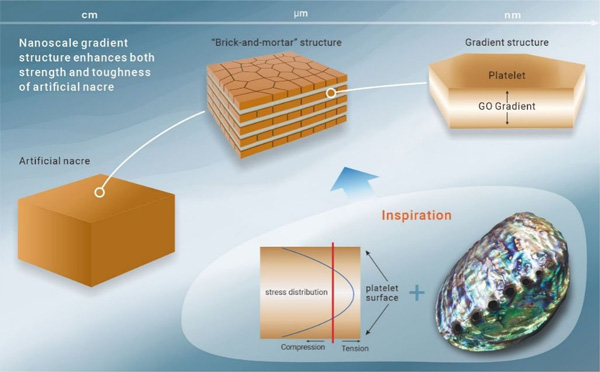 /uploads/image/2023/11/21/98b6ba504a133de1320a4f1e72cfb10b.jpg 1.jpg