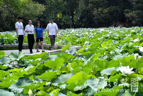 /uploads/image/2022/07/29/ad5450a2f977336ae6b4f7ed3eff9ed3.jpg 8.jpg