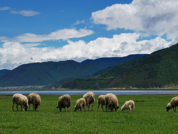 /uploads/image/2023/03/28/92d0dda3798c230ca92ccdf750f4148e.jpg 3.jpg