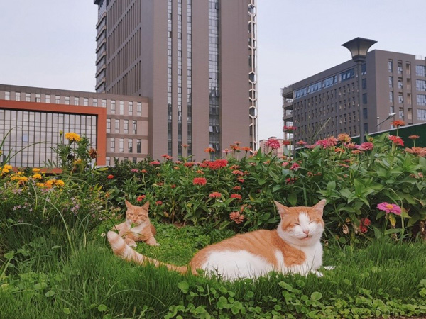 /uploads/image/2023/03/28/1c62591f59b5a5fc574d743831c23e12.jpg 2.jpg