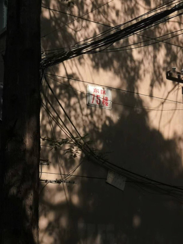 /uploads/image/2023/03/28/4f21171c3103bf055a32aa08c72a6d42.jpg 4.jpg