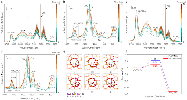 /uploads/image/2025/08/11/3749a328432b1776c3513ae15b5063cc.png C406FB053D795DAC6A8DC2052A0_969DAC0D_9C3EA.png