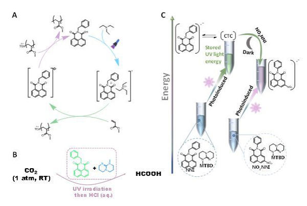 /uploads/image/2024/06/14/878ae342a8aec477ca34fa3c45811c15.jpg 3.jpg