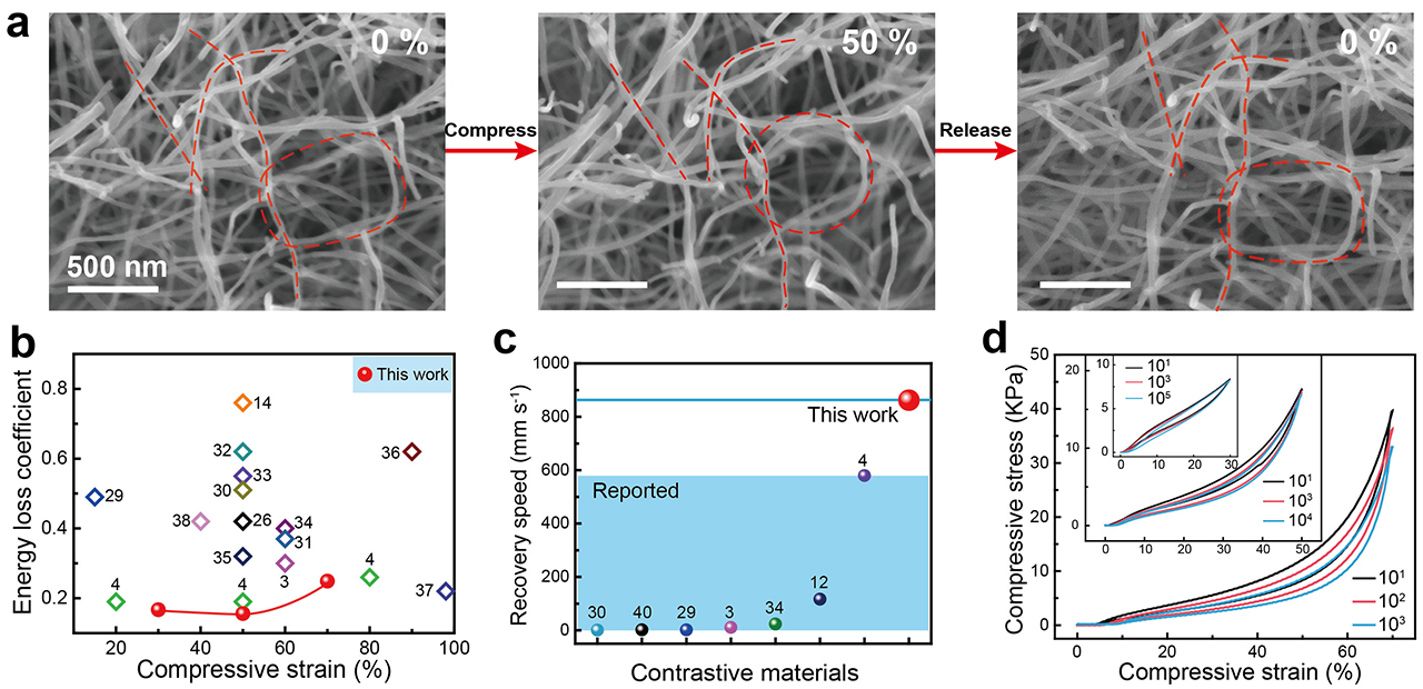 /uploads/image/2019/05/20/f7fa5e700d990078c26790f85798c751.jpg /uploads/image/2019/05/20/f7fa5e700d990078c26790f85798c751.jpg