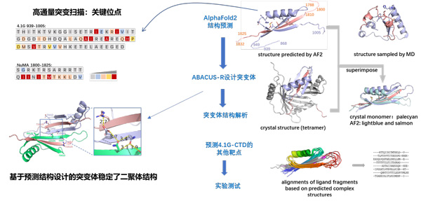 /uploads/image/2023/09/25/6930614ad89e6355de87bba154587ae7.jpg 1.jpg