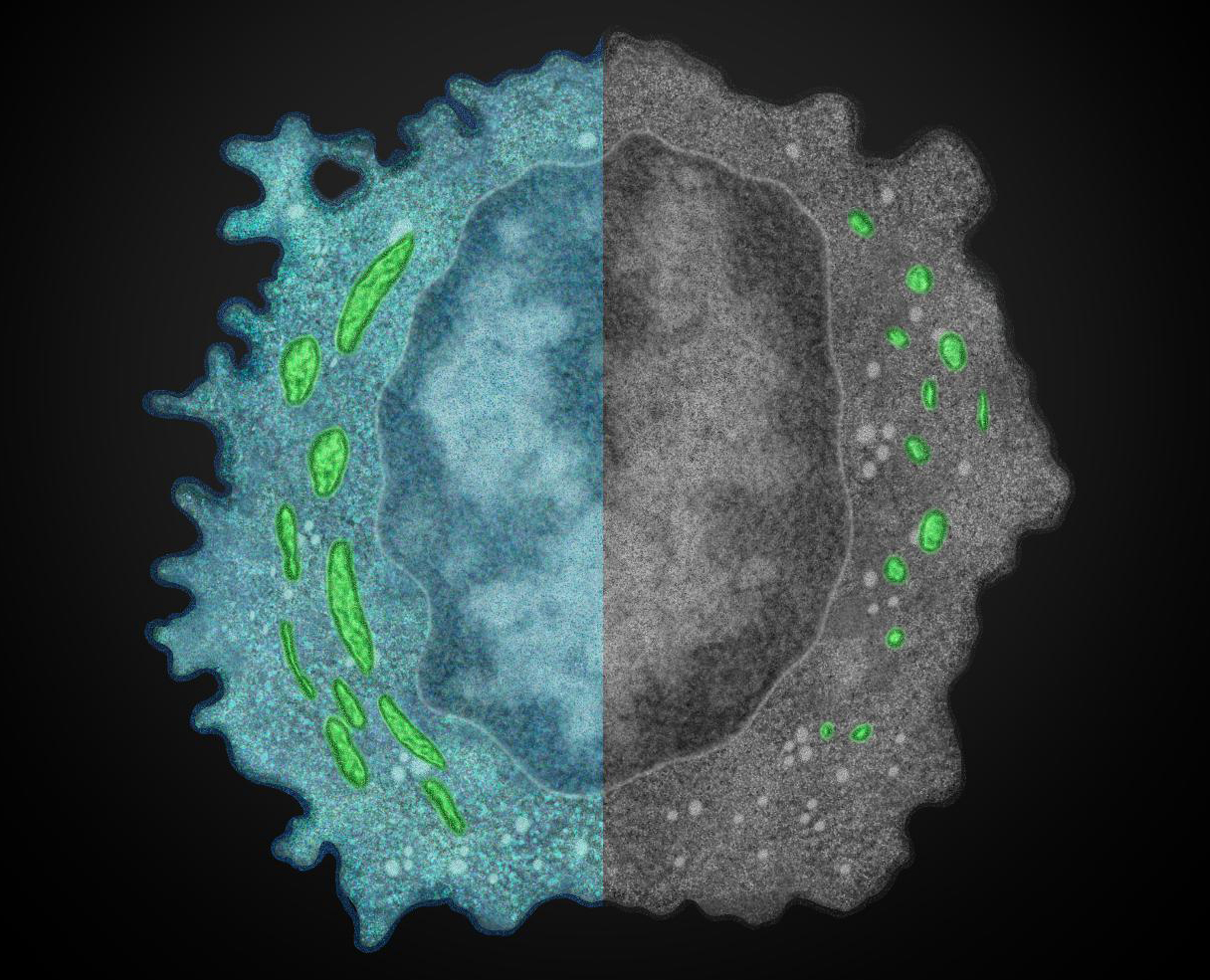 /uploads/image/2019/10/22/7a9f291aa72be28456544d0a40493ce6.jpg /uploads/image/2019/10/22/7a9f291aa72be28456544d0a40493ce6.jpg