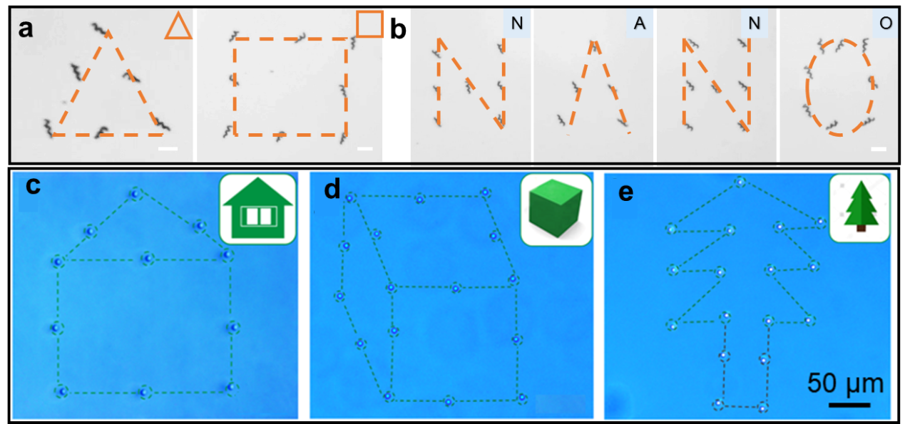 /uploads/image/2019/12/24/691315411efdbf3e06064df11ddc5dc8.png /uploads/image/2019/12/24/691315411efdbf3e06064df11ddc5dc8.png