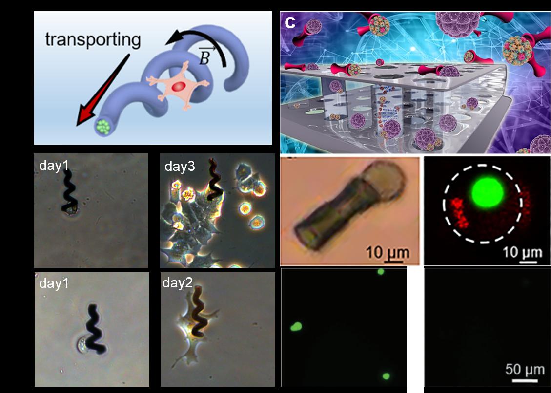 /uploads/image/2019/12/24/8abe895ba45fa27ea1af263814c304f8.jpg /uploads/image/2019/12/24/8abe895ba45fa27ea1af263814c304f8.jpg