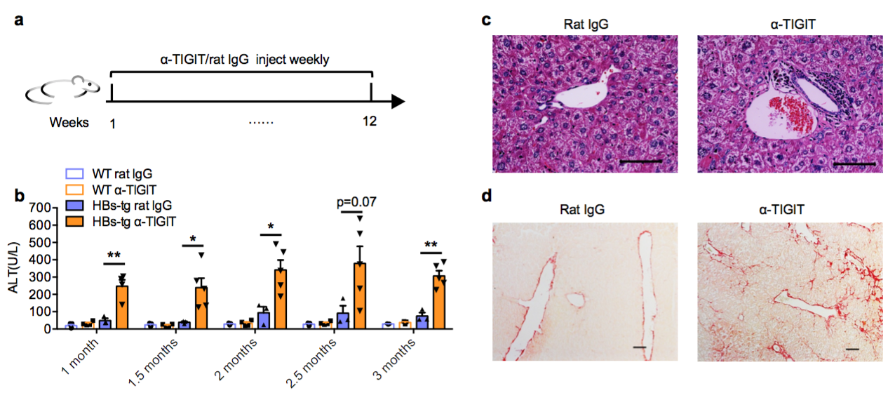 /uploads/image/2019/01/16/b024429cb474d6270e509ce42b21059a.png /uploads/image/2019/01/16/b024429cb474d6270e509ce42b21059a.png