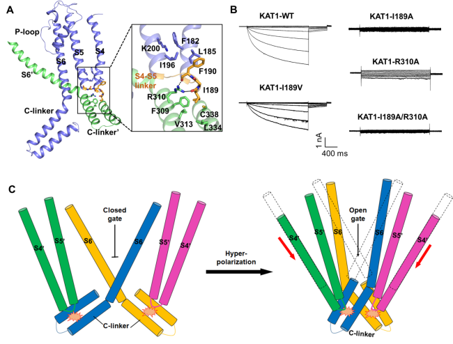 /uploads/image/2020/09/11/f72276c4c53d5da950ed1b44e2e58a48.png /uploads/image/2020/09/11/f72276c4c53d5da950ed1b44e2e58a48.png