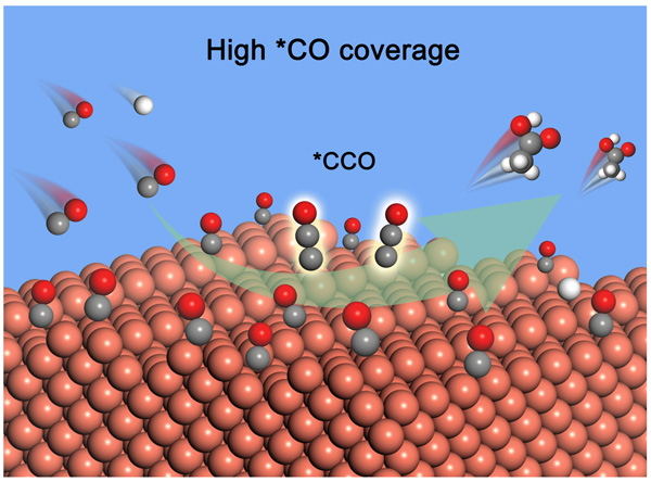 /uploads/image/2023/11/17/8f4b4ce83902a6c98cf42439283a3116.jpg 1.jpg